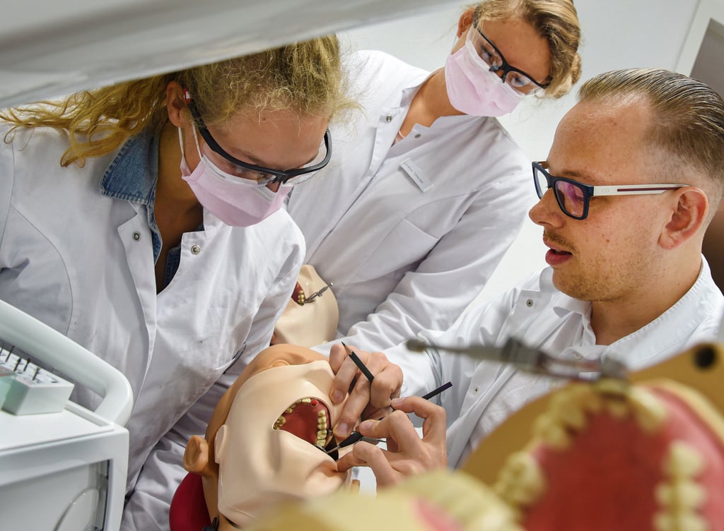 Hoffnungsträger: Studenten aus dem Studiengang Zahnmedizin der Medizinischen Fakultät der Martin-Luther-Universität Halle-Wittenberg überprüfen mit Zahnarzt Sebastian Hinz an Dentalen Simulationseinheiten beschliffene Phantom-Zähne.