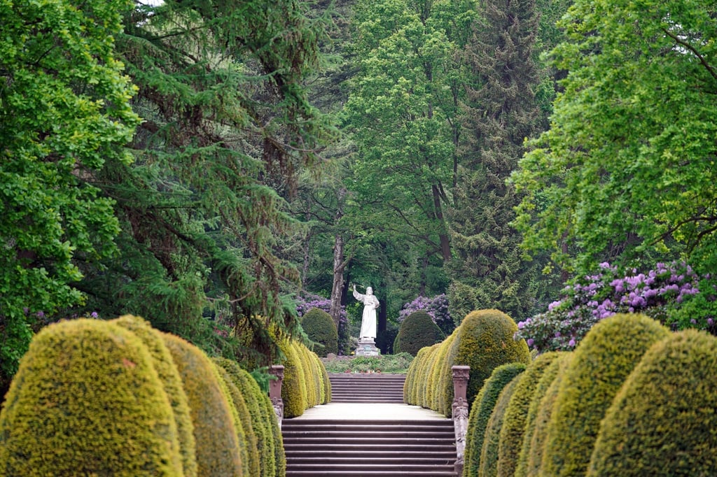 Blühender Rhododendron ist auf dem Ohlsdorfer Friedhof zu sehen.