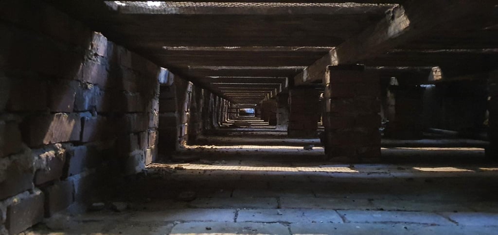Seltener Anblick: Was sich unter den Bänken in der Jakobikirche verbirgt, sehen die Besucher des Gotteshauses normalerweise nicht. Um Kabel zu verlegen, mussten die Holzpanelen aber weichen.