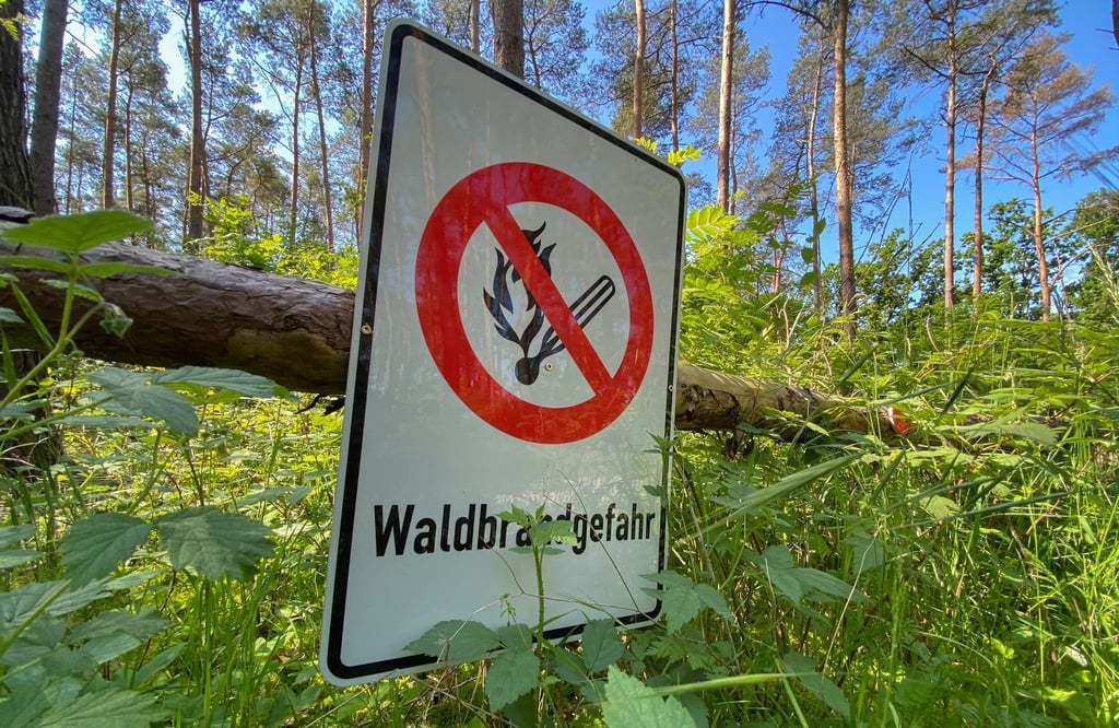 Ein Schild „Waldbrandgefahr“ hängt in einem Wald im Heidekreis.