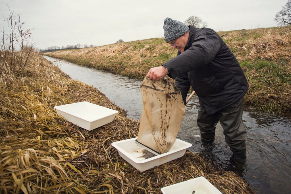 Untersuchungen im Flötgraben bei Arendsee in der Altmark gehört auch die Analyse des Makrozoobenthos.
