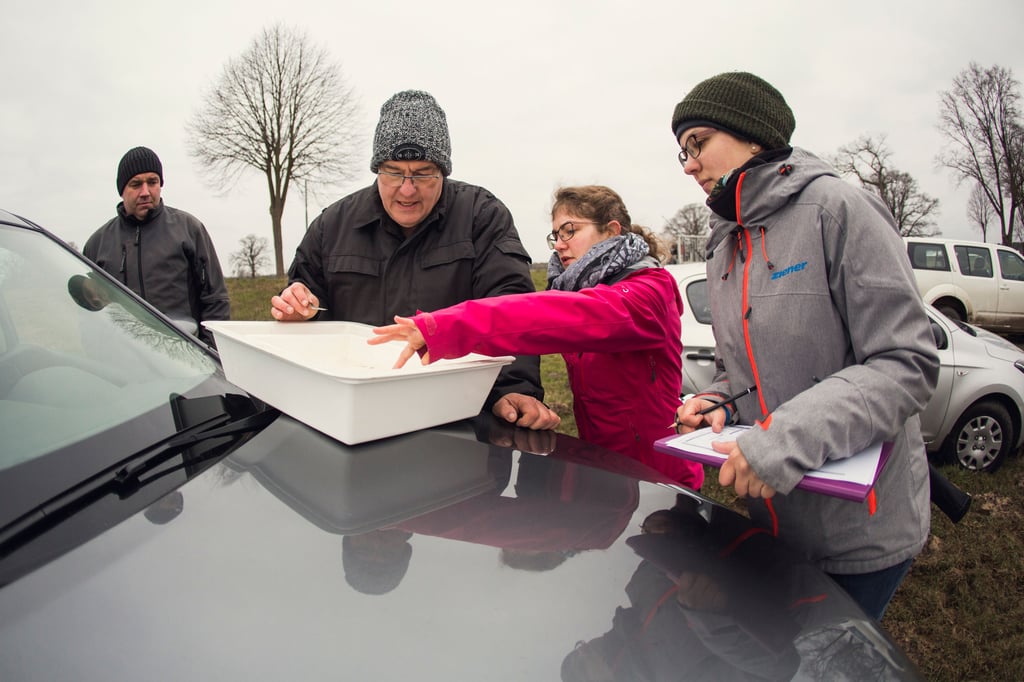 Masterstudentin Lisa Siebeneichner und Doktorandin Linn Ahlers bestimmen gemeinsam mit Prof. Dr. Volker Lüderitz (v. r.) von der Hochschule Magdeburg-Stendal das im Flötgraben gefangene Makrozoobenthos. Uwe Heinecke, Geschäftsführer des Unterhaltungsverbandes Jeetze, beobachtet die Forscher.