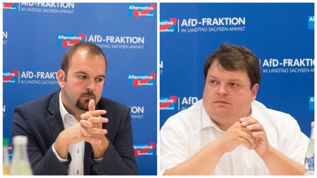 Die beiden AfD-Direktkandidaten Daniel Roi und Hannes Loth werden ihre Direktmandate verlieren.