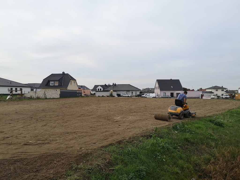 Die Blühwiese im Grabenbruch in Lostau wurde 2019 angelegt.