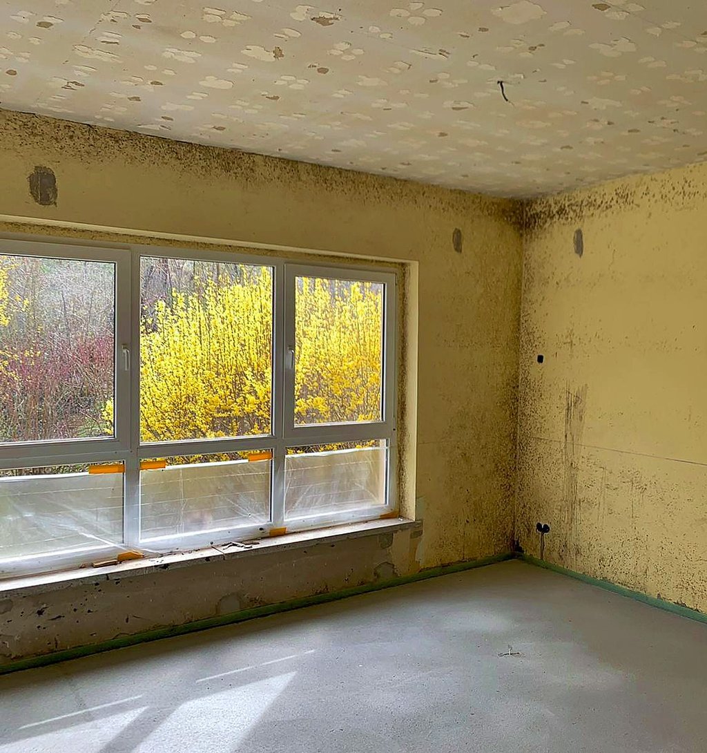 In der Kita in Osterfeld ist Schimmel aufgetreten.