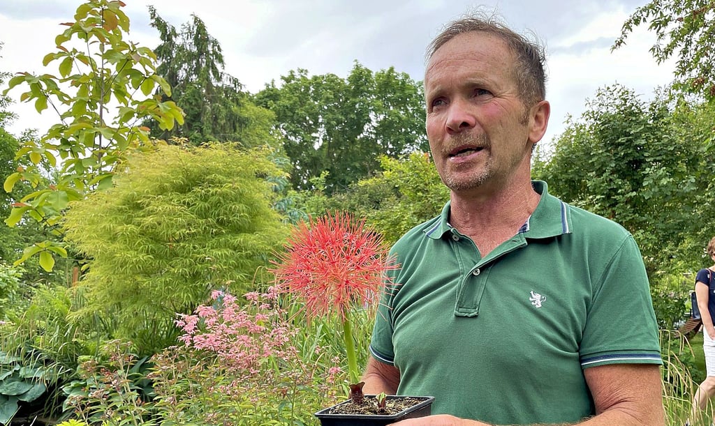 Mit seiner Expertise ist er weit mehr als ein Hobbygärtner: Harald Kottler zeigt eine rote Blutblume.