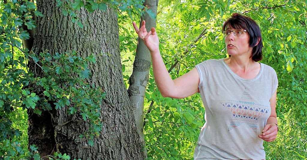 Projektbetreuerin Kerstin Schlüter machte mit den Pflanzen der Elbaue bekannt.