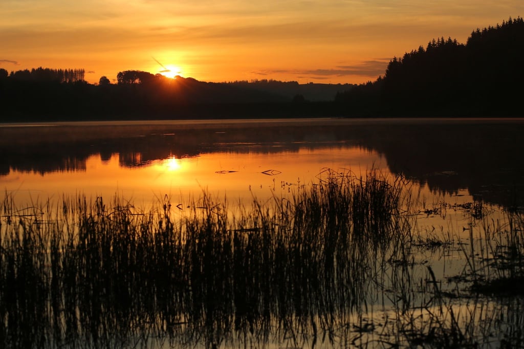 Das Licht der aufgehenden Sonne spiegelt sich im Gewässer der Talsperre Mandelholz.