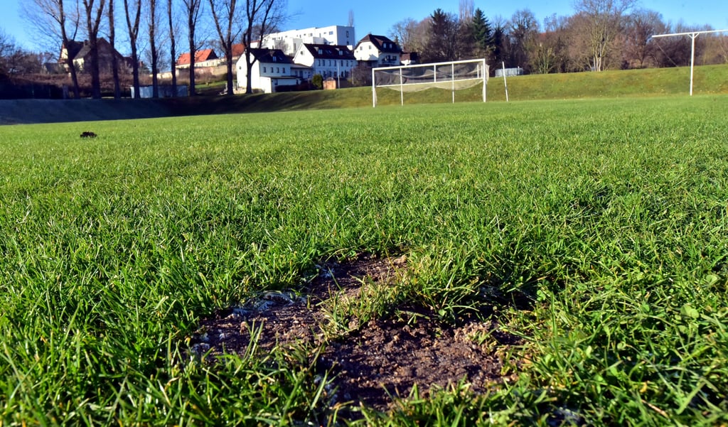 Sportplätze und -Stätten in Weißenfels öffnen wieder.