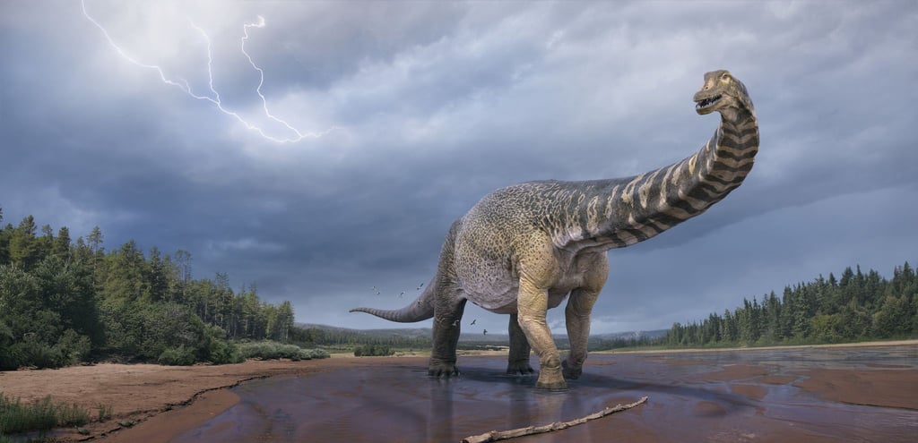 Eine künstlerische Darstellung zeigt den Dinosaurier Australotitan cooperensis, oder den Südtitan. Paläontologen haben bestätigt, dass Queensland einst die Heimat eines der größten Dinosaurier der Welt war.
