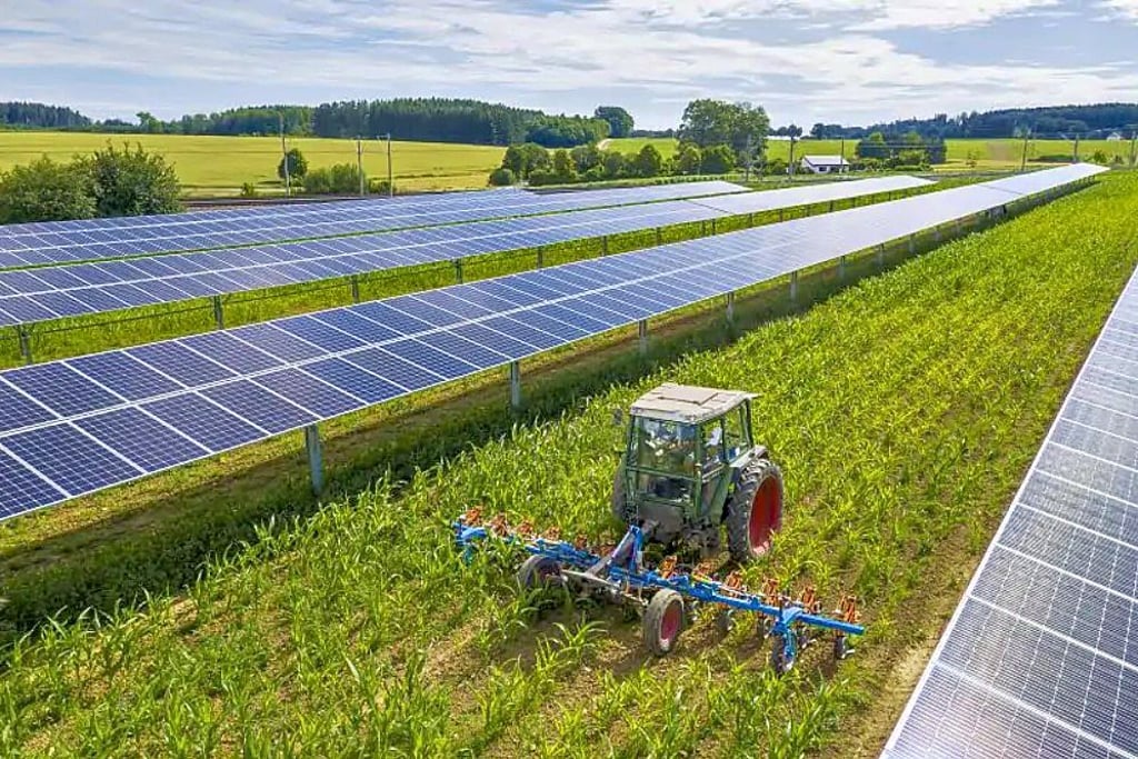 Zwischen den Modulen soll Platz für landwirtschaftliche Maschinen sein.