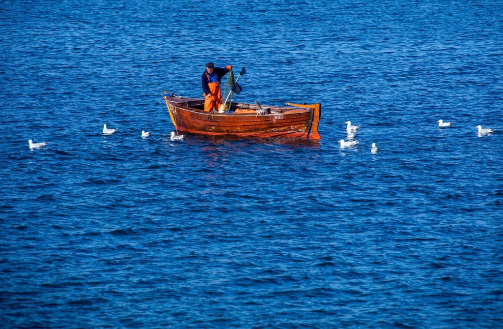 Ein Fischer leert auf der Ostsee in einem kleinen Holzboot seine Fangreusen.