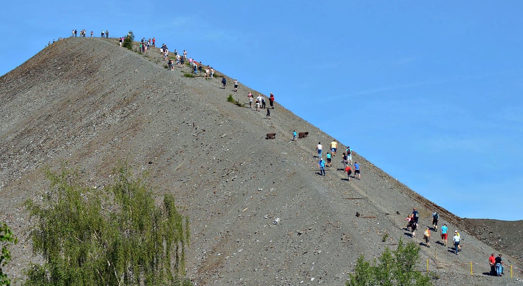 Für den 19. September ist wieder eine Besteigung der Fortschrittschacht-Halde zwischen Eisleben und Volkstedt geplant.