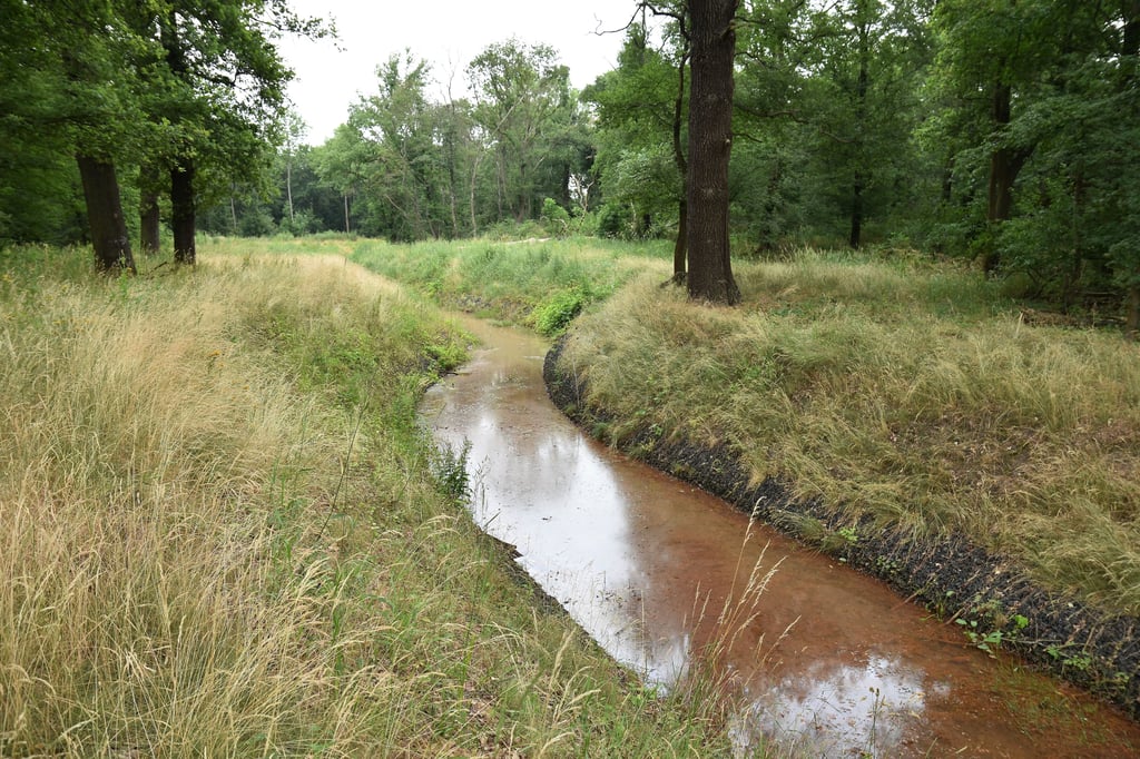 Das Furtlakegrabensystem dient der Entwässerung in den ostelbischen Gebieten von Magdeburg.