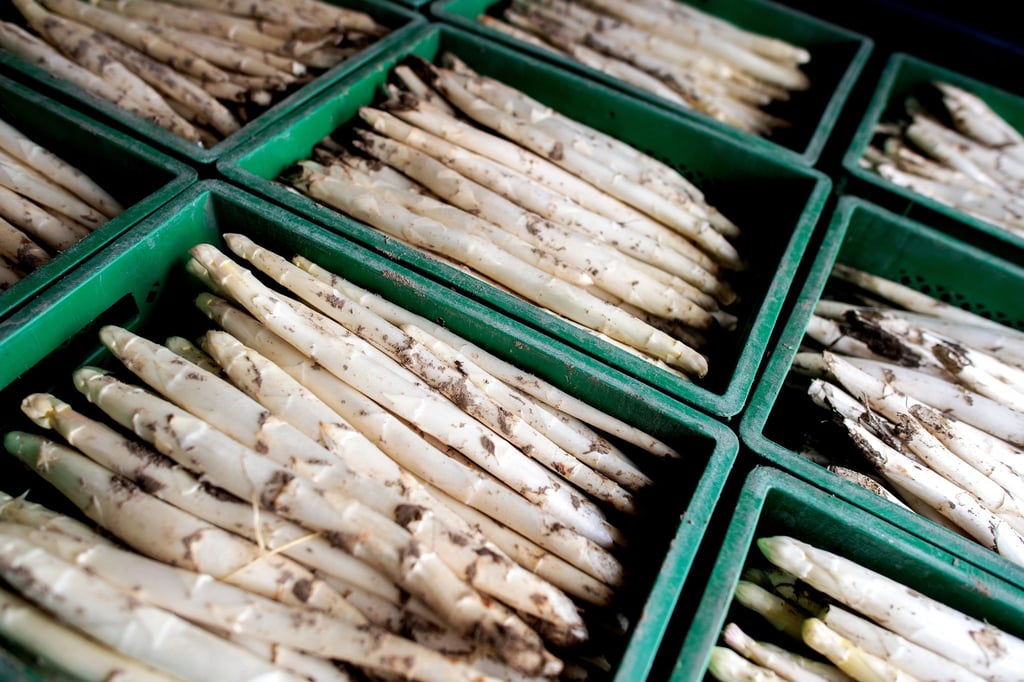 Kisten mit frisch gestochenem Spargel.