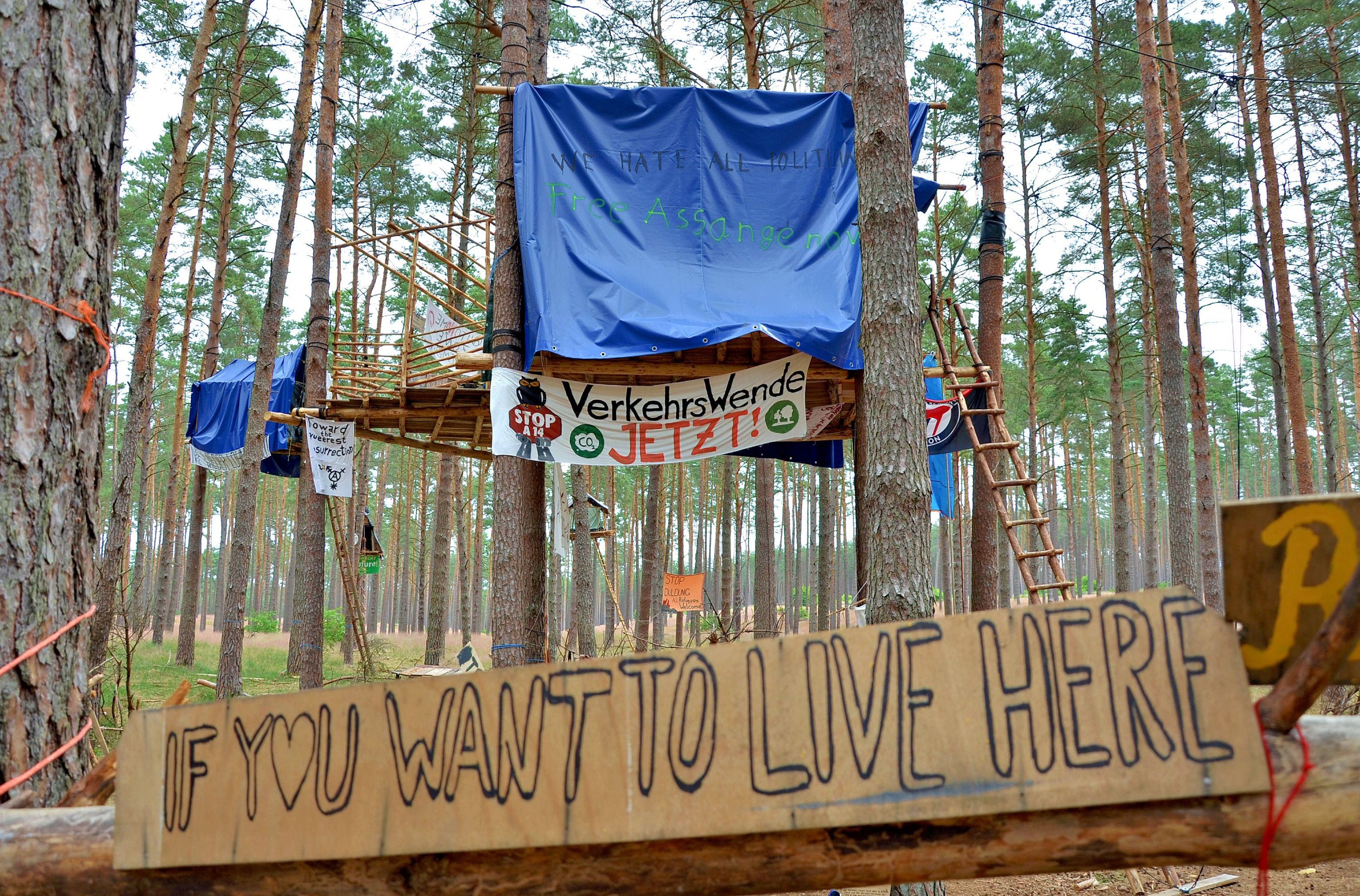 Selbstgebaute Baumhäuser und Transparente: Im Wald bei Seehausen in der Altmark protestieren Waldbesetzer gegen den Weiterbau der A14.