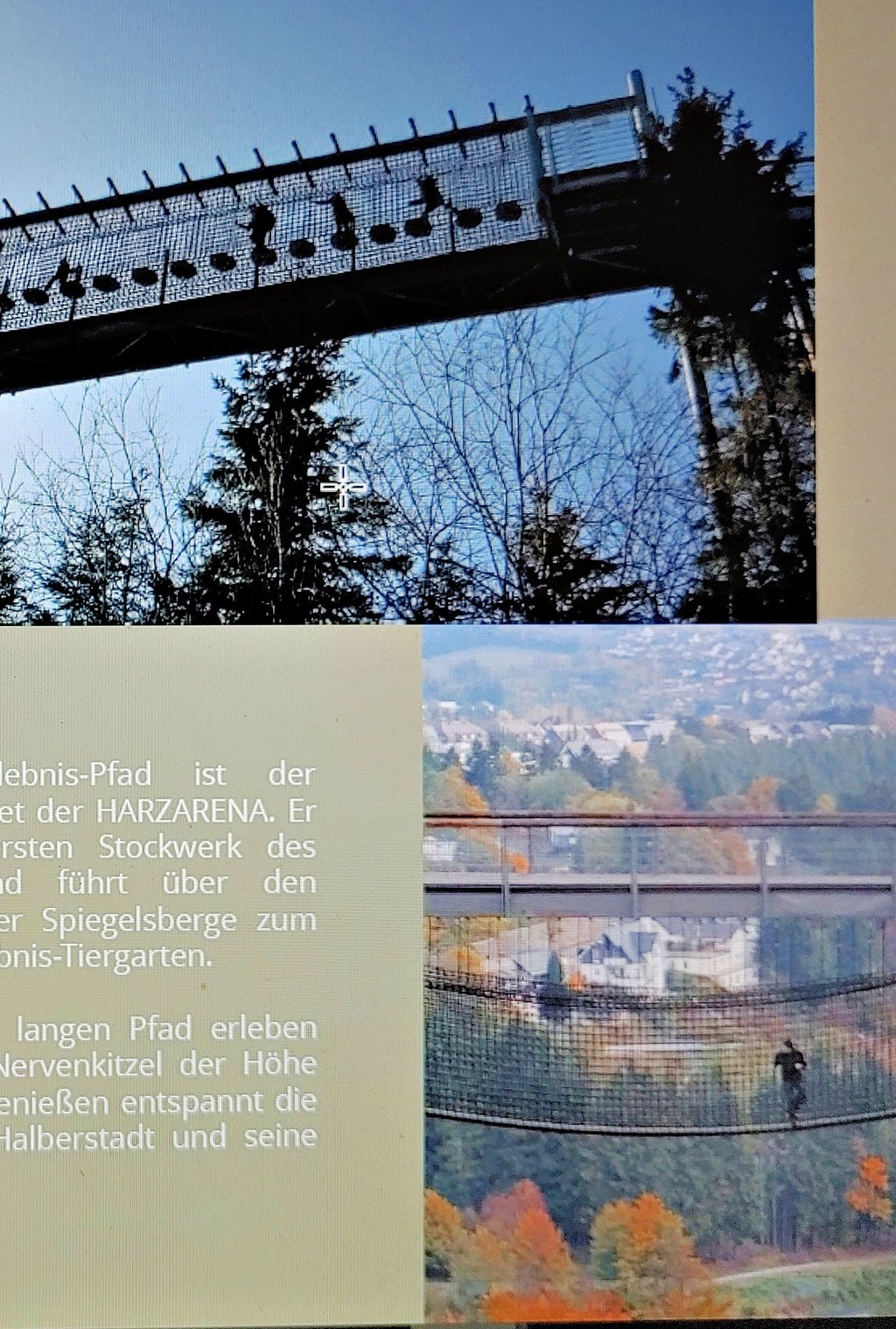 Das Konzept für die Harzarena, hier ein Ausschnitt, sieht unter anderem den Bau einer 700 Meter langen Brücke in den Spiegelsbergen vor.