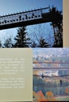 Das Konzept für die Harzarena, hier ein Ausschnitt, sieht unter anderem den Bau einer 700 Meter langen Brücke in den Spiegelsbergen vor.
