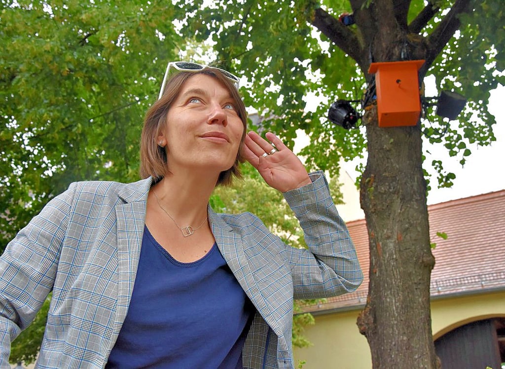 Sandy Gärtner lauscht der Klanginstallation am Moritzplatz. Aus den Vogelhäuschen, die rund um den Platz angebracht sind, erklingt kein Vogelgezwitscher, sondern Menschen, die Geschichten erzählen.