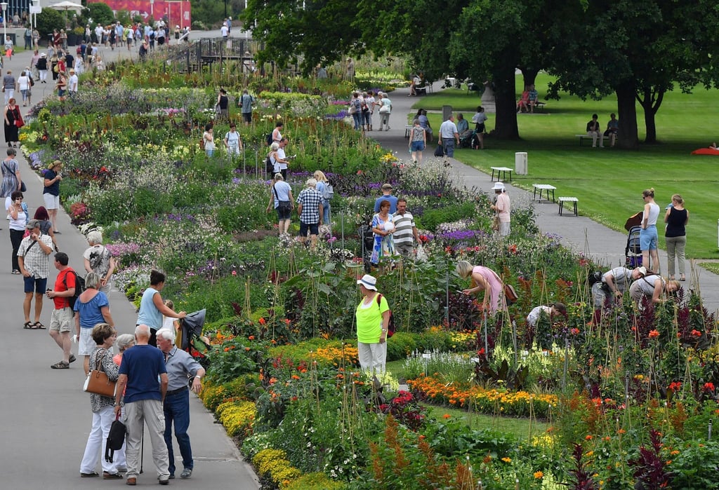 Blumen blühen auf dem Gelände der Bundesgartenschau.