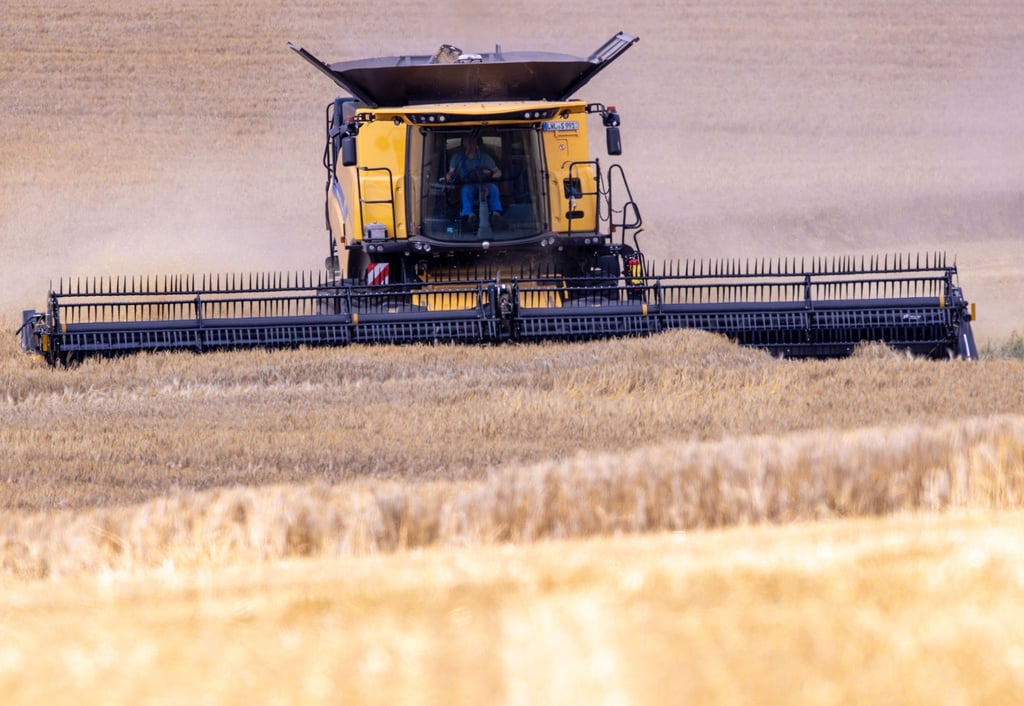 Ein Mähdrescher fährt bei der Ernte von Gerste über ein Feld.