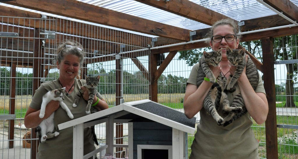 Gabriele Fischer (l.) und Pamela Strahler freuen sich, dass das Zerbster Tierheim nun neu durchstarten kann. Momentan hoffen mehrere Kätzchen auf ein liebevolles Zuhause.