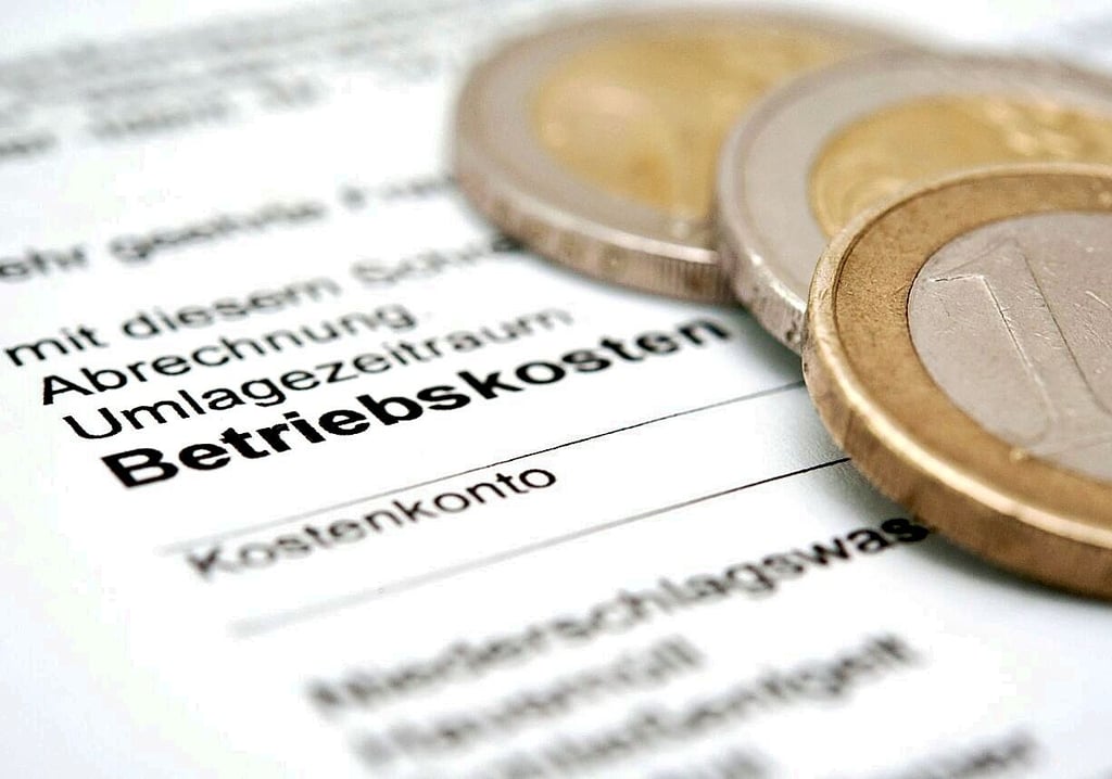 Die Hälfte der in der Region erstellten Nebenkostenabrechnungen ist nach Angaben des hiesigen Mietervereins fehlerhaft.