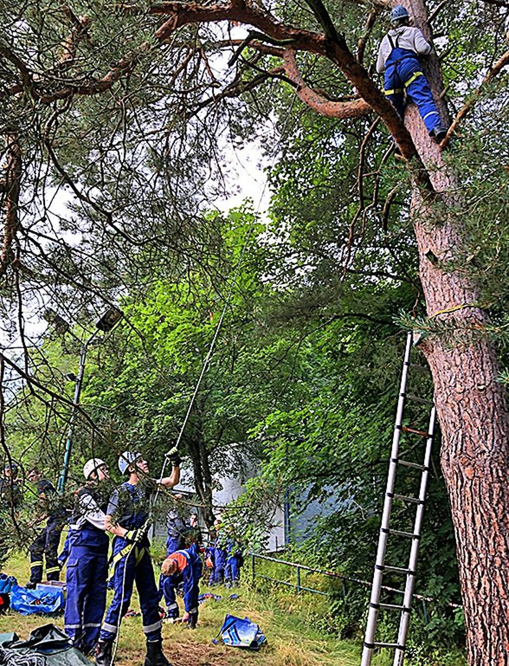Sophie wird beim Baumklettern durch Elias und Sarah - alle Jugendfeuerwehr Straßberg/Siptenfelde - gesichert.