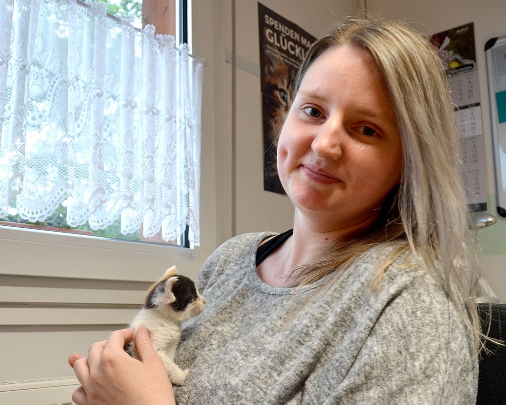 Anne Mollenhauer, Tierheimleiterin in Stendal, zieht das drei Wochen alte Katzenbaby Jule mit der Flasche auf. Das Katzenjunge braucht rund um die Uhr Aufmerksamkeit.