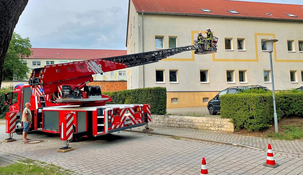 Kameraden der Wanzleber Feuerwehr haben am 10. Juli 2021 einen Mauersegler aus einer misslichen Lage befreit. Die Vogelart ist übrigens eher selten und daher geschützt.