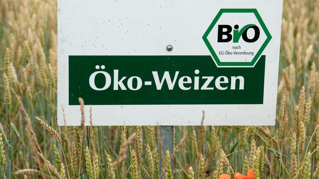 In Sachsen-Anhalt wirtschaften immer mehr Landwirte nach den Prinzipien des ökologischen Landbaus.