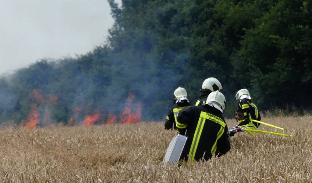 Feuerwehrleute versuchen den Brand beim Ermlitz zu löschen.