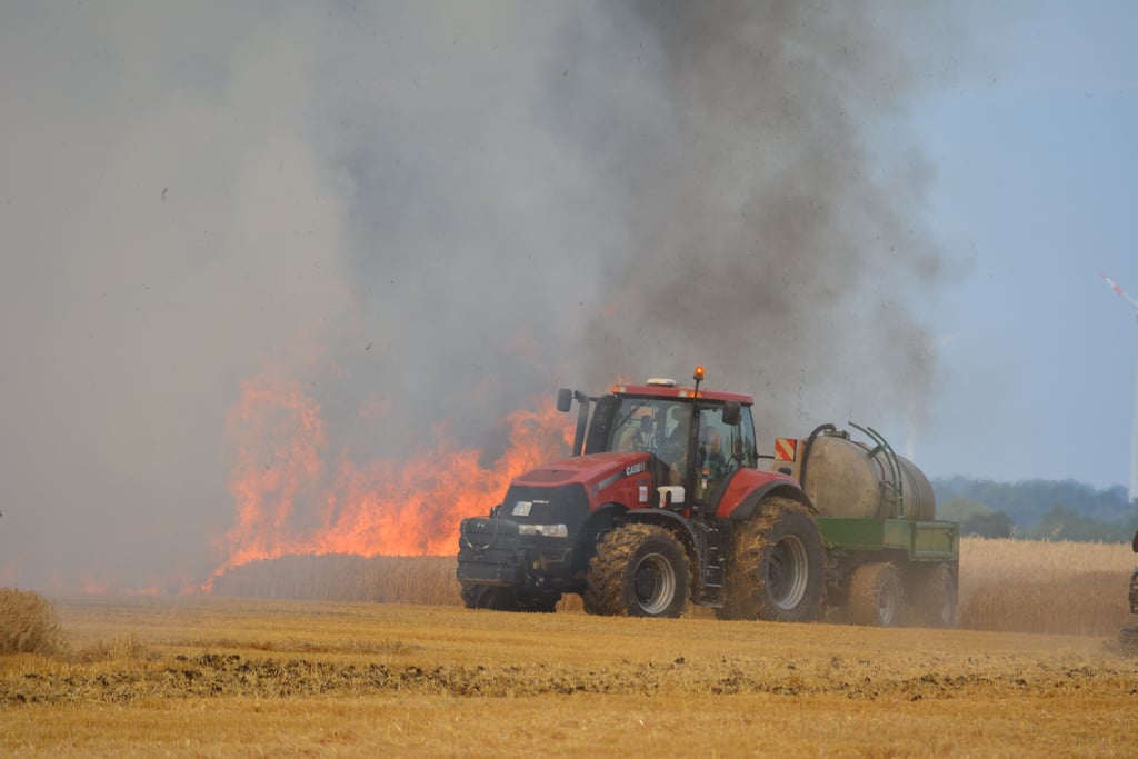 Zwischen den südlichen Dürrenberger Ortsteilen Ragwitz und Goddula stand am Dienstag ein Feld mit Wintergerste in Flammen.