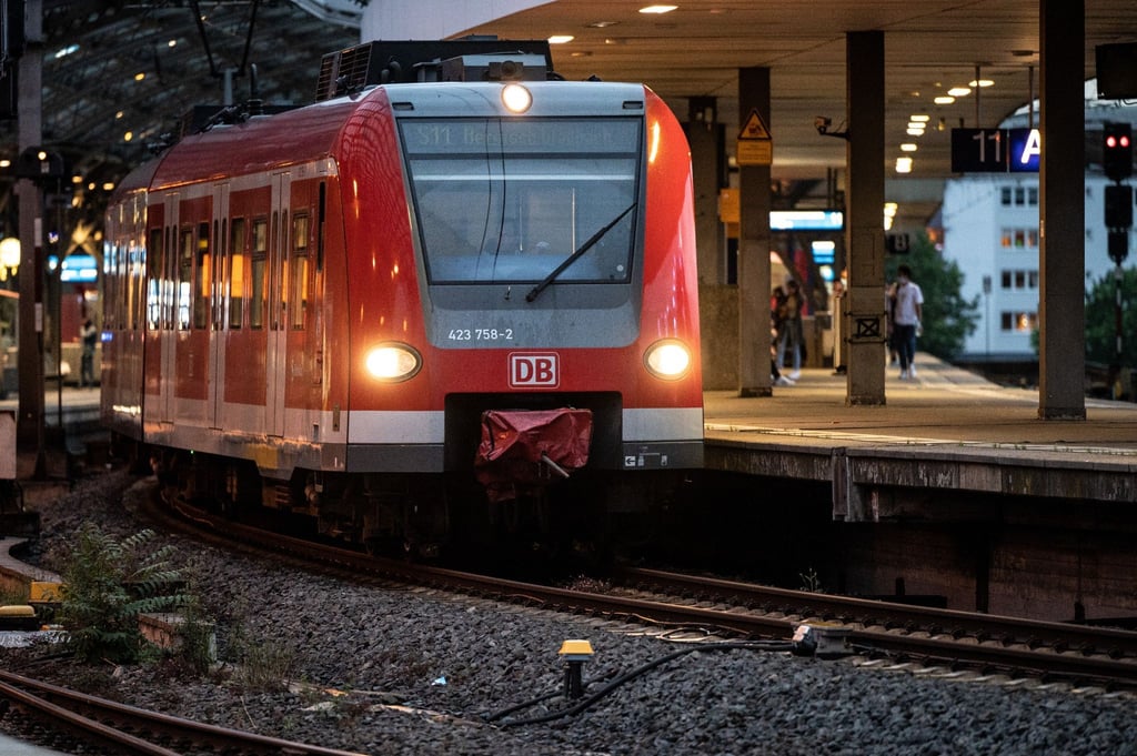 Ein Nahverkehrszug fährt zum Bahnhof.