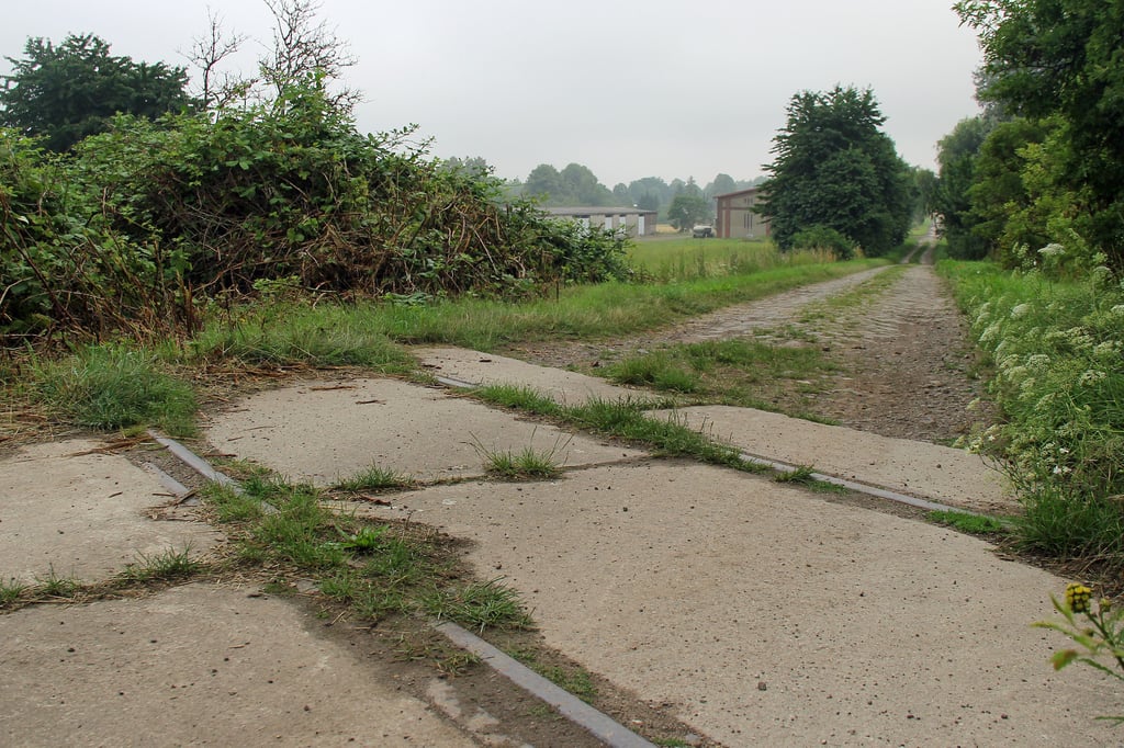 Eilsleber Bahntrassenübergang in Richtung Hakenstedt. Die Strecke ist verwildert, aber noch weitgehend vorhanden.