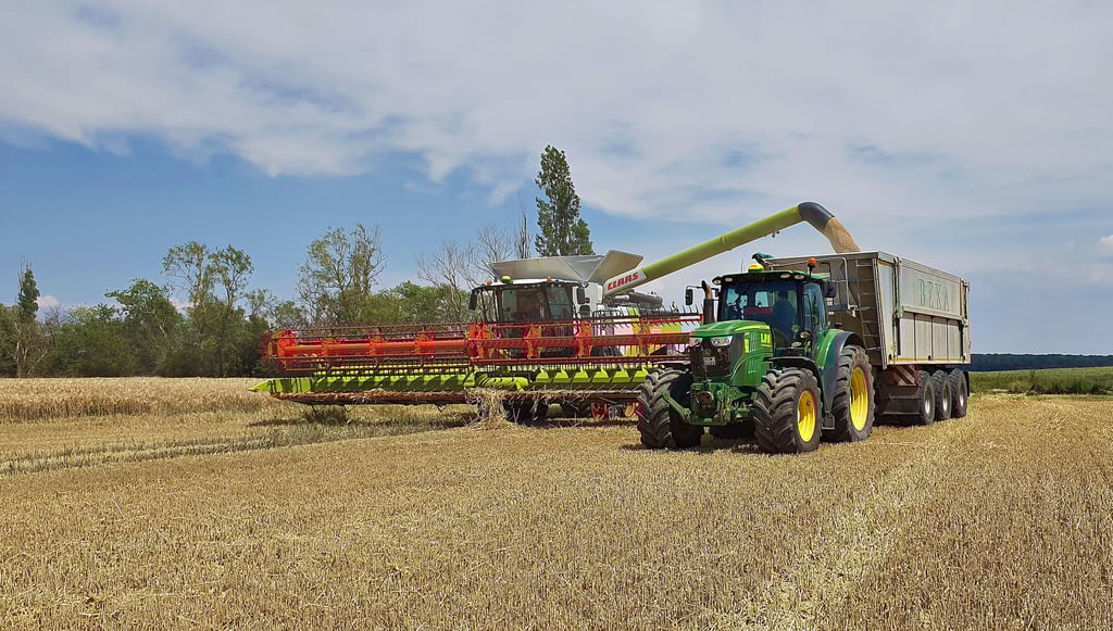 Die Ernte der Wintergerste hat im Vorharz begonnen - wie hier bei der Agrargenossenschaft in Hedersleben.