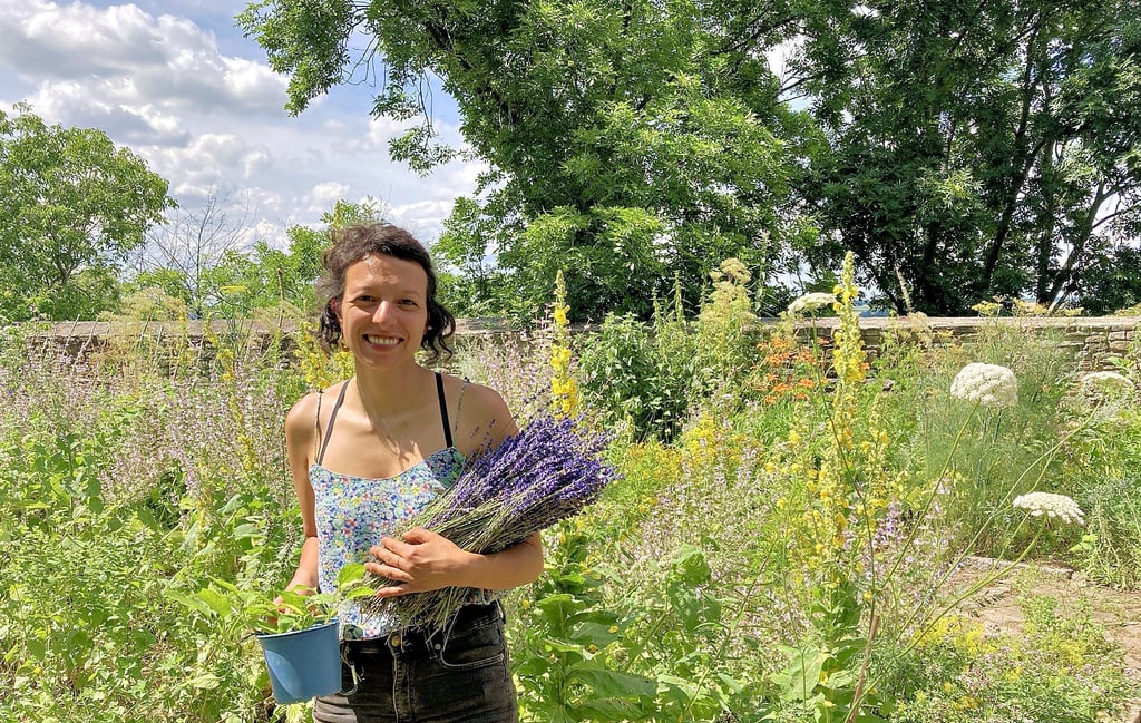 Floristin Mariann Mede hat Lavendel in ihrem Klostergarten geerntet.