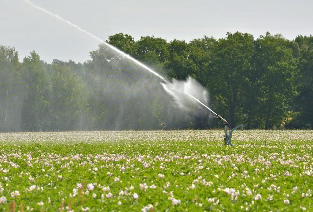 Die Wiederverwendung von aufbereitetem Abwasser auf landwirtschaftlichen Flächen kann dazu beitragen, die mit dem Klimawandel einhergehende Wasserknappheit abzumildern. Die Verregnung auf Feldern wird von der Europäischen Union begrüßt. Dafür gelten aber Mindestanforderungen.