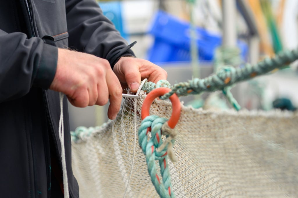 Werden die überfischten Weltmeere nicht bald geschont, droht ein Kollaps der Fischbestände.