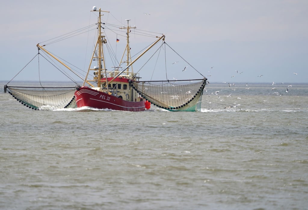 Ein Fischkutter.