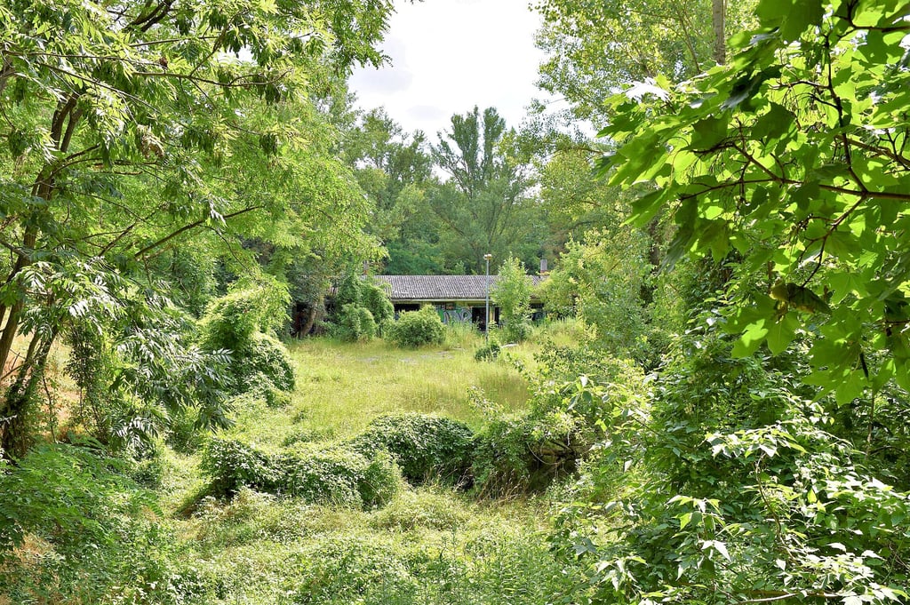 Die Fläche liegt seit geraumer Zeit brach. Laut einer Verkaufsanzeige wäre hier künftig eine Wohnbebauung denkbar. 