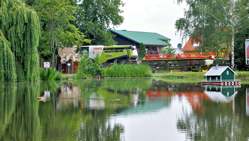 Die Idylle am Warmsdorfer Teich ist getrübt. Nilgänse haben sich hier eingenistet, bombardieren die Ufer mit Kot, den Spielplatz gegenüber. Beim Überqueren der viel befahrenen Landesstraße würden die Federtiere den Verkehr zu gefährlichen Ausweichmanövern zwingen, berichten Anwohner. Über Nacht seien sogar die Nutrias verschwunden. Als das Foto entstand, war Familie Nilgans übrigens bis auf ein Jungtier gerade ausgeflogen.