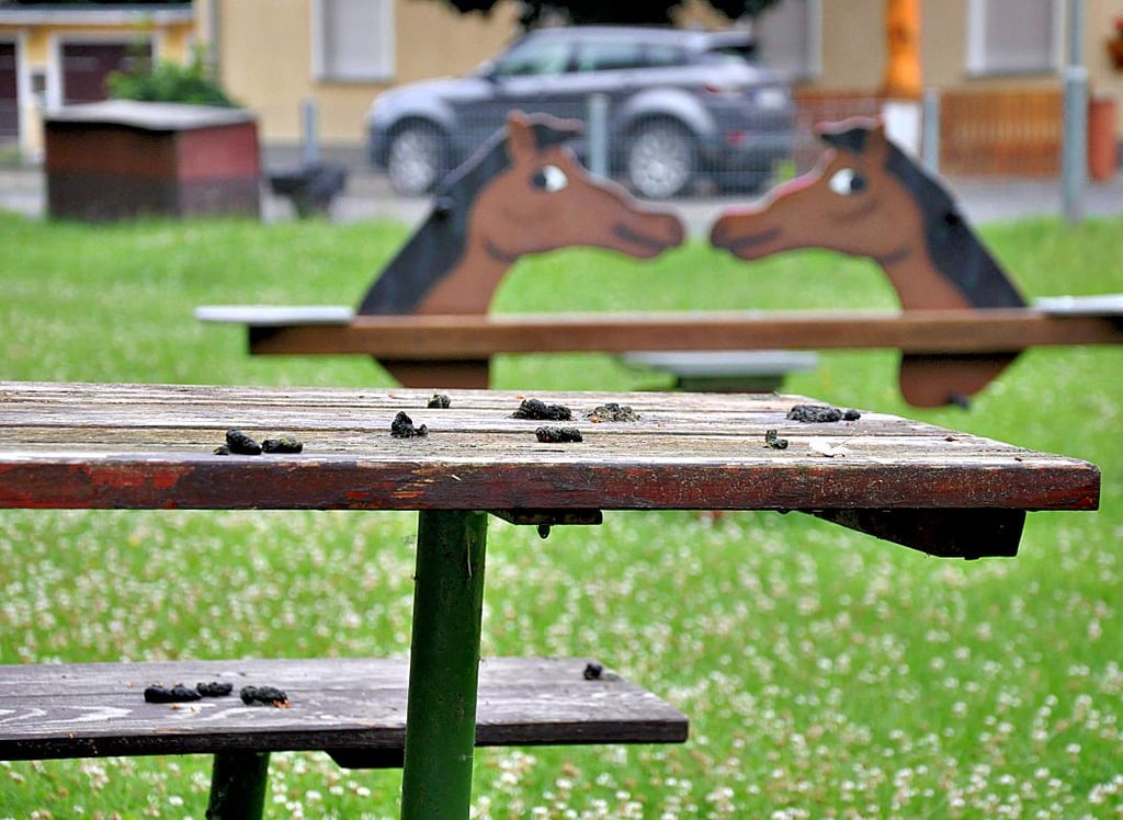 Sehr unappetitlich, was hier auf Tischen und Bänken des Warmsdorfer Spielplatzes angerichtet wurde.