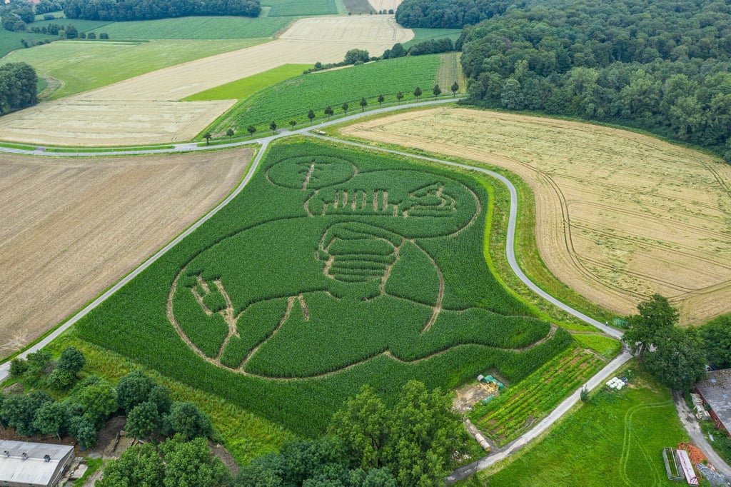 Der Landwirt Benedikt Lünemann fräste in sein Maisfeld ein riesiges Labyrinth.