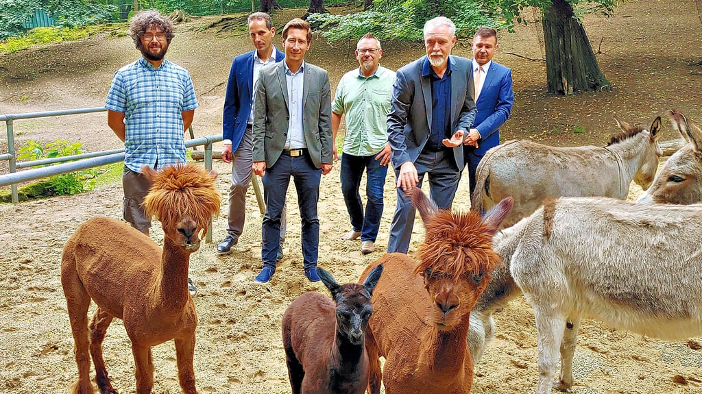 Die Sponsoren des Tiergartenfestes gehen mit Tiergartenleiter David Neubert (rechts) auf Tuchfühlung mit den Alpakas.