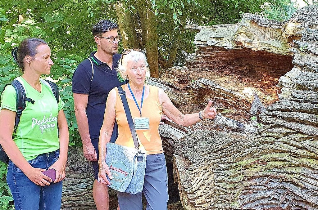 Auch umgestürzte Bäume haben noch jede Menge Leben, erklärt Christiane Frontzek (rechts) beim Rundgang durchs Mühlenholz in Havelberg.
