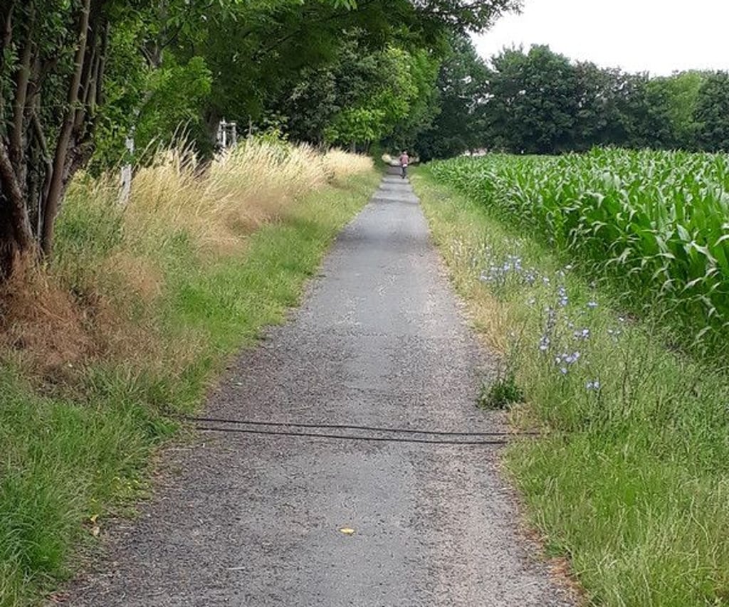 Die installierte Radzählanlage am R1.
