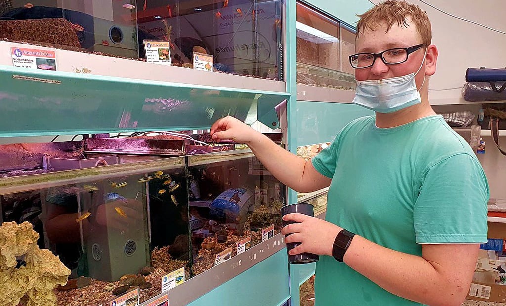 Domenic Engelmann liebt Haustiere. Hier füllt er Futter in ein Aquarium. Aber auch deren Säuberung übernimmt er gerne.