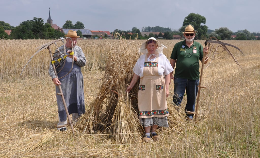 Auf dem Parchener Roggenfeld gibt es hisorische Bekleidung und Erntegeräte.