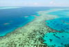 Das Great Barrier Reef in Australien ist bedroht.